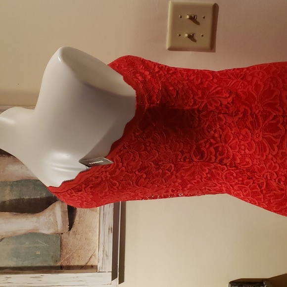 Express Dress - Picture 10 of 12